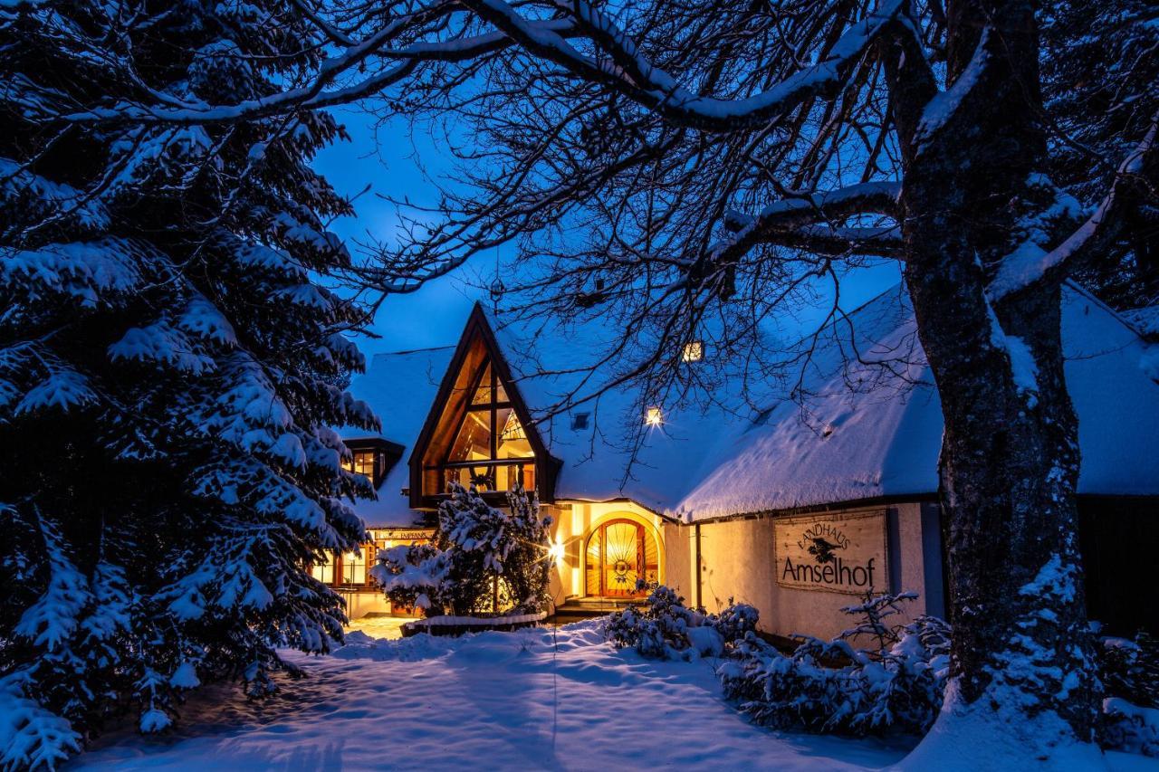 Landhaus Amselhof Hinterzarten Exterior photo